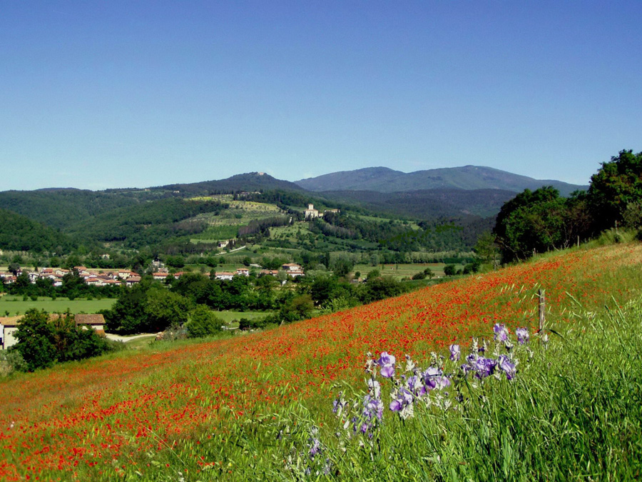 Toscana-Umbria-Primavera-Estate