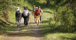 La Via di Francesco - trasporto bagagli